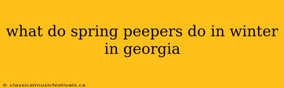 what do spring peepers do in winter in georgia