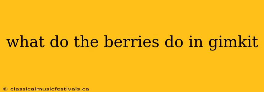 what do the berries do in gimkit