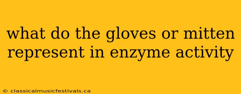 what do the gloves or mitten represent in enzyme activity