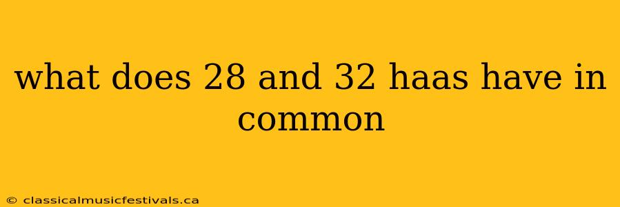 what does 28 and 32 haas have in common