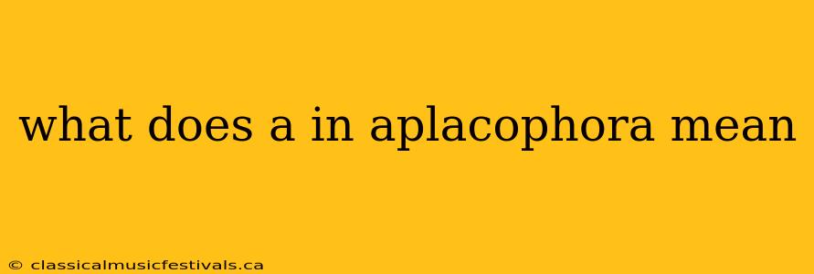 what does a in aplacophora mean