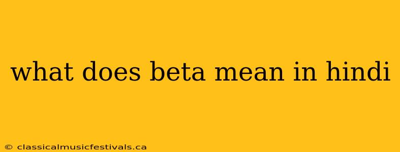 what does beta mean in hindi