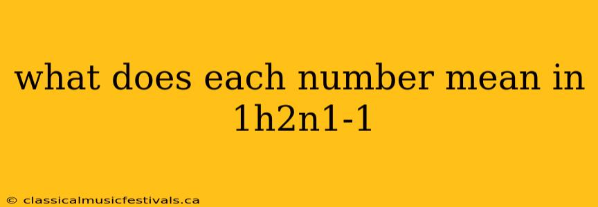 what does each number mean in 1h2n1-1