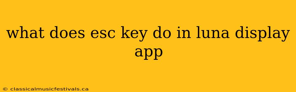 what does esc key do in luna display app