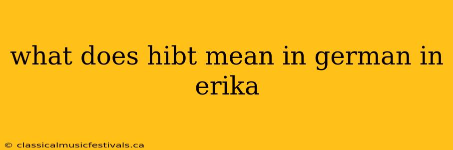 what does hibt mean in german in erika