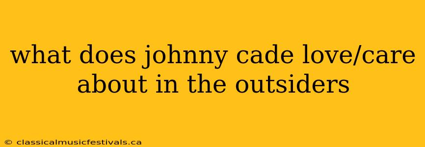 what does johnny cade love/care about in the outsiders