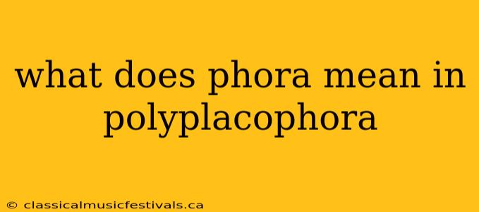 what does phora mean in polyplacophora