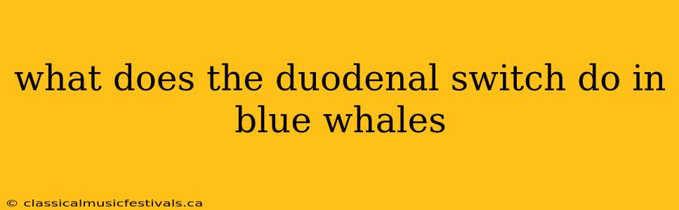 what does the duodenal switch do in blue whales