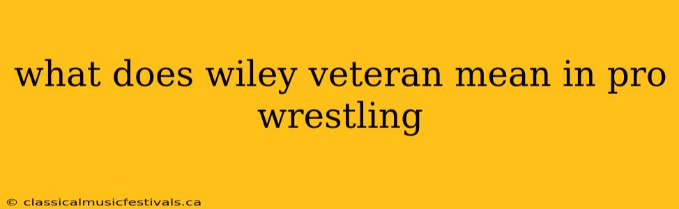 what does wiley veteran mean in pro wrestling