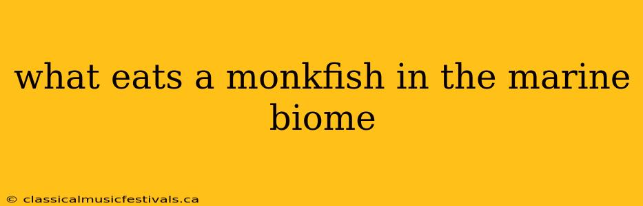 what eats a monkfish in the marine biome