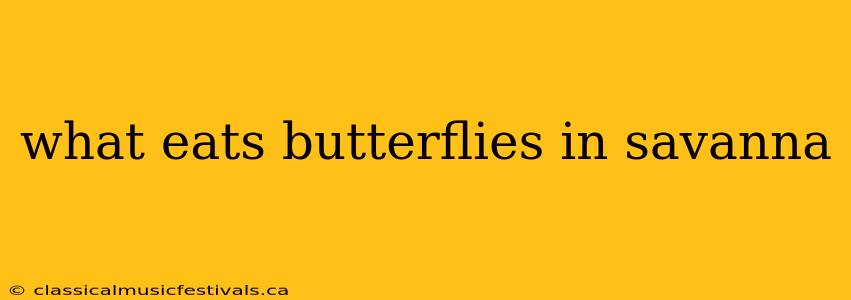 what eats butterflies in savanna