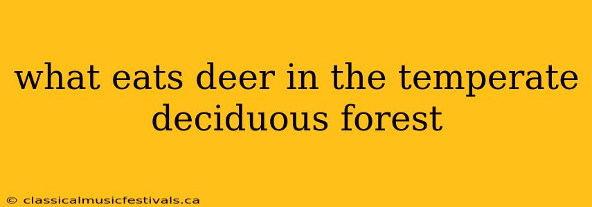 what eats deer in the temperate deciduous forest