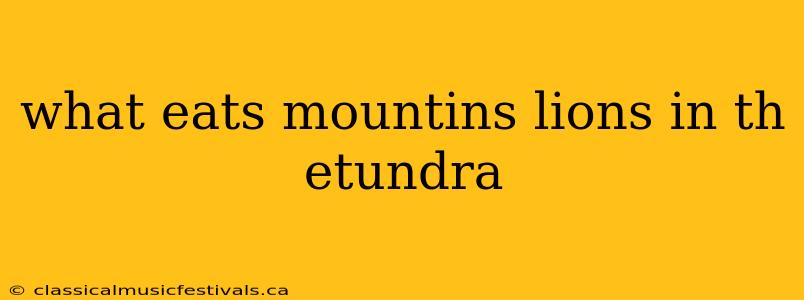 what eats mountins lions in th etundra