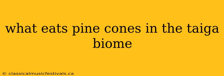 what eats pine cones in the taiga biome