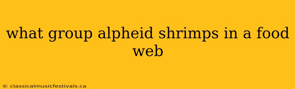 what group alpheid shrimps in a food web