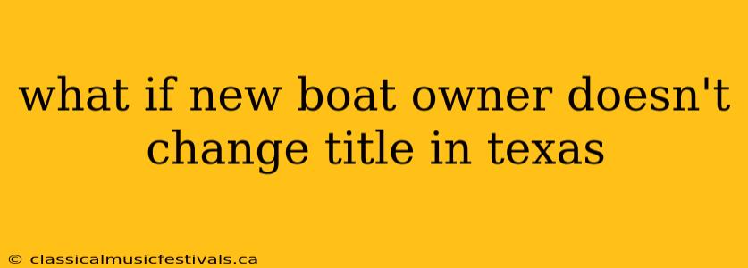 what if new boat owner doesn't change title in texas