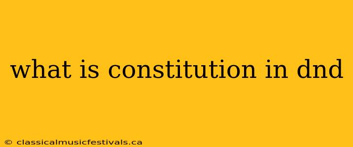 what is constitution in dnd