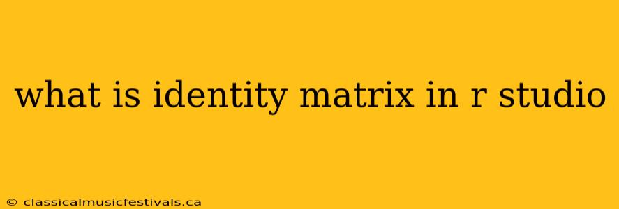 what is identity matrix in r studio