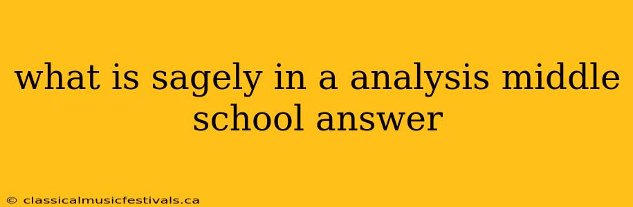 what is sagely in a analysis middle school answer