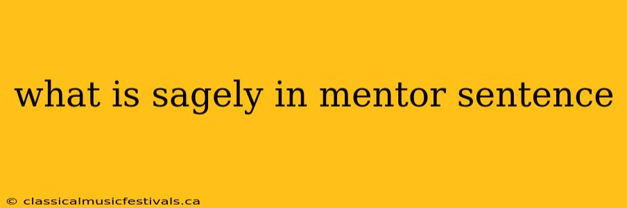 what is sagely in mentor sentence