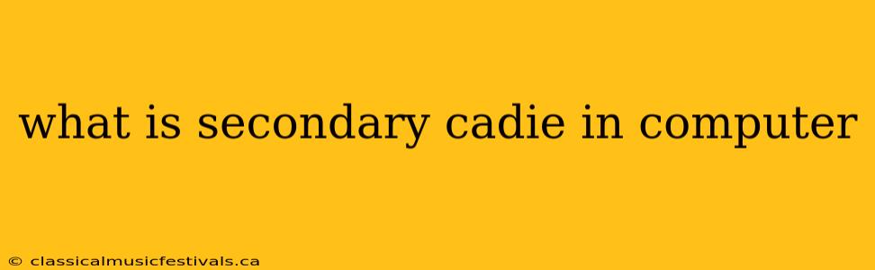 what is secondary cadie in computer