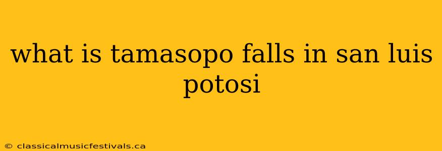 what is tamasopo falls in san luis potosi