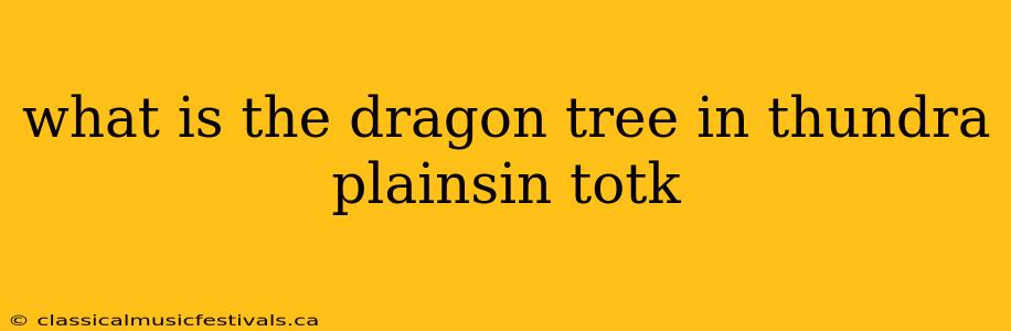 what is the dragon tree in thundra plainsin totk