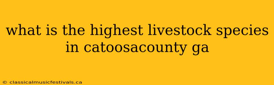 what is the highest livestock species in catoosacounty ga