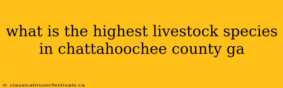 what is the highest livestock species in chattahoochee county ga