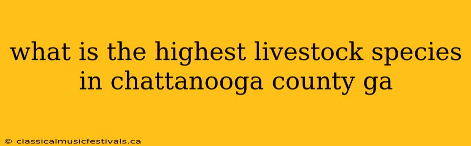 what is the highest livestock species in chattanooga county ga