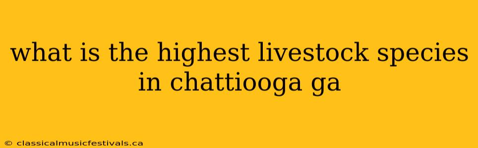 what is the highest livestock species in chattiooga ga