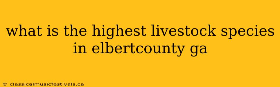 what is the highest livestock species in elbertcounty ga