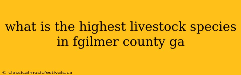 what is the highest livestock species in fgilmer county ga