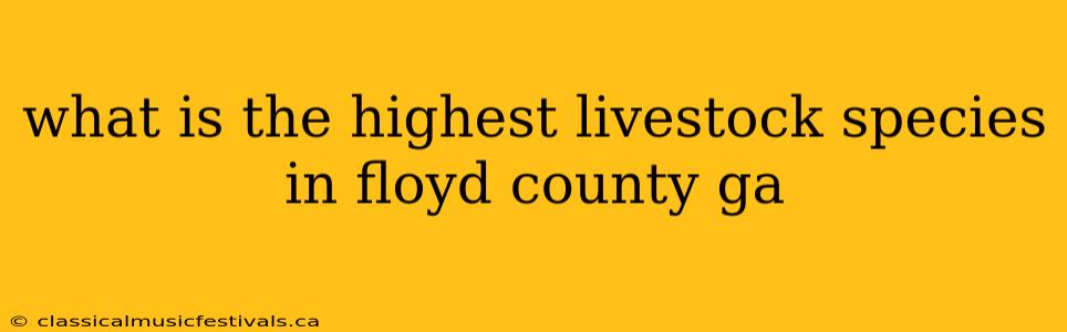 what is the highest livestock species in floyd county ga