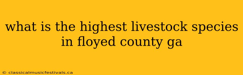 what is the highest livestock species in floyed county ga