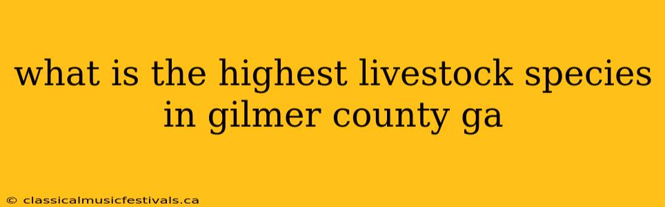 what is the highest livestock species in gilmer county ga