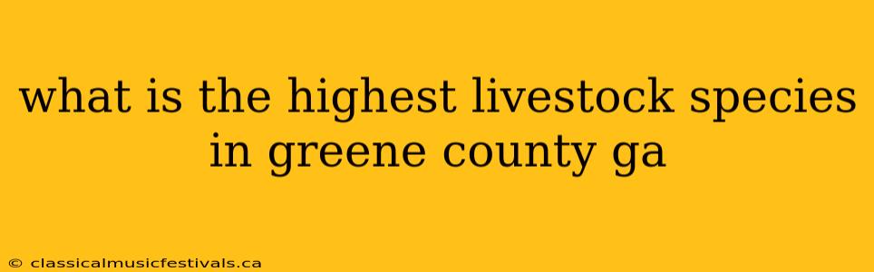 what is the highest livestock species in greene county ga