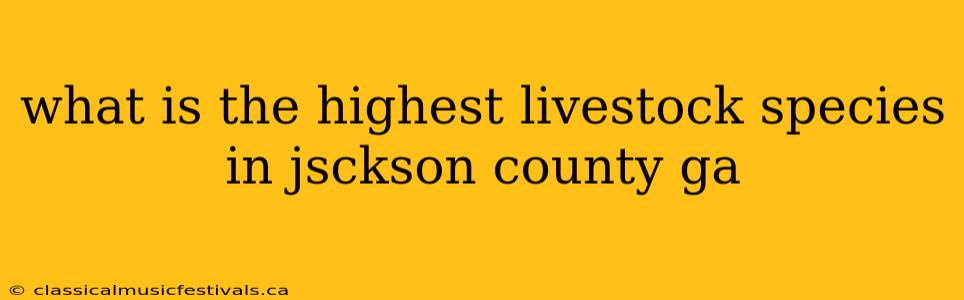 what is the highest livestock species in jsckson county ga