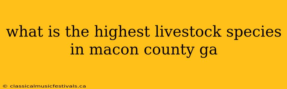 what is the highest livestock species in macon county ga