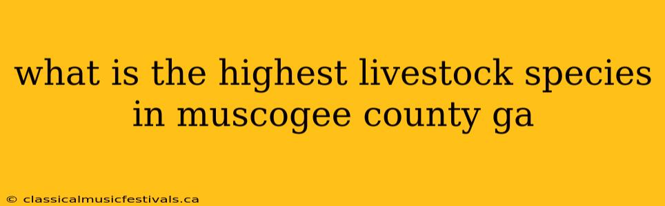 what is the highest livestock species in muscogee county ga