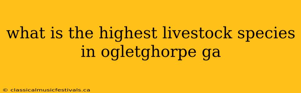 what is the highest livestock species in ogletghorpe ga