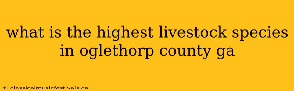 what is the highest livestock species in oglethorp county ga