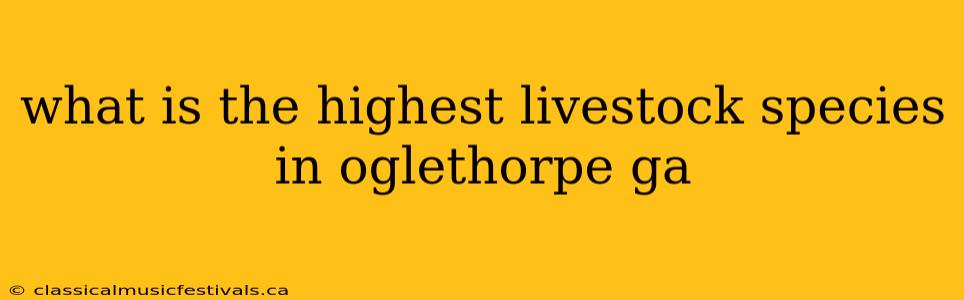 what is the highest livestock species in oglethorpe ga