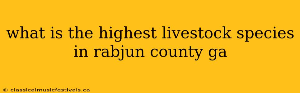 what is the highest livestock species in rabjun county ga