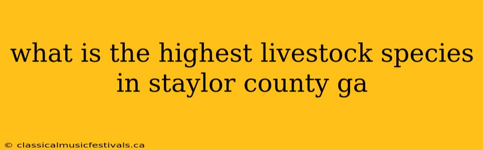 what is the highest livestock species in staylor county ga