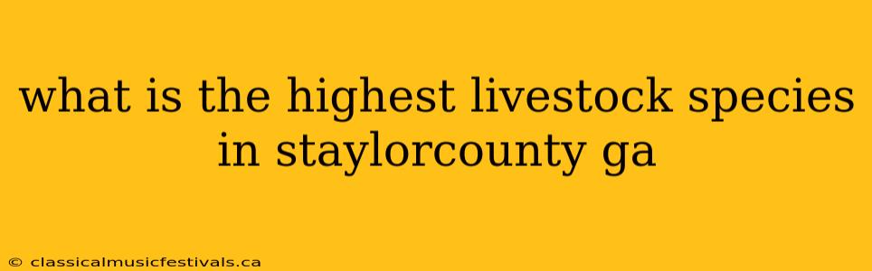 what is the highest livestock species in staylorcounty ga