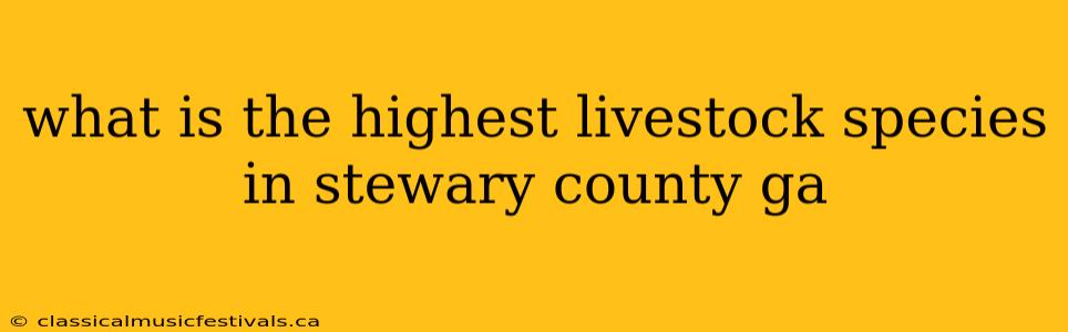 what is the highest livestock species in stewary county ga