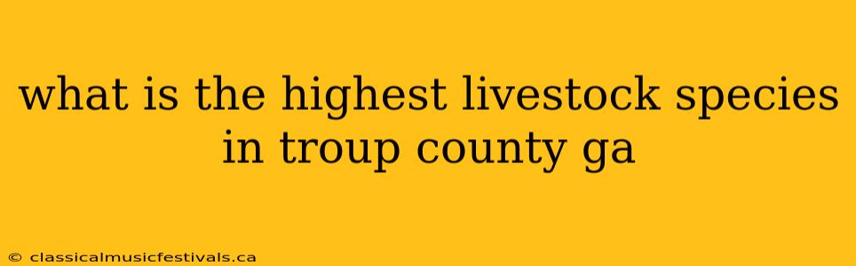 what is the highest livestock species in troup county ga