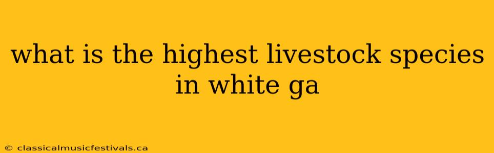 what is the highest livestock species in white ga