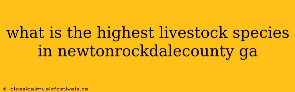 what is the highest livestock species in newtonrockdalecounty ga